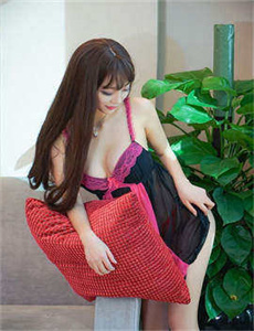 我的法兰西岁月2004